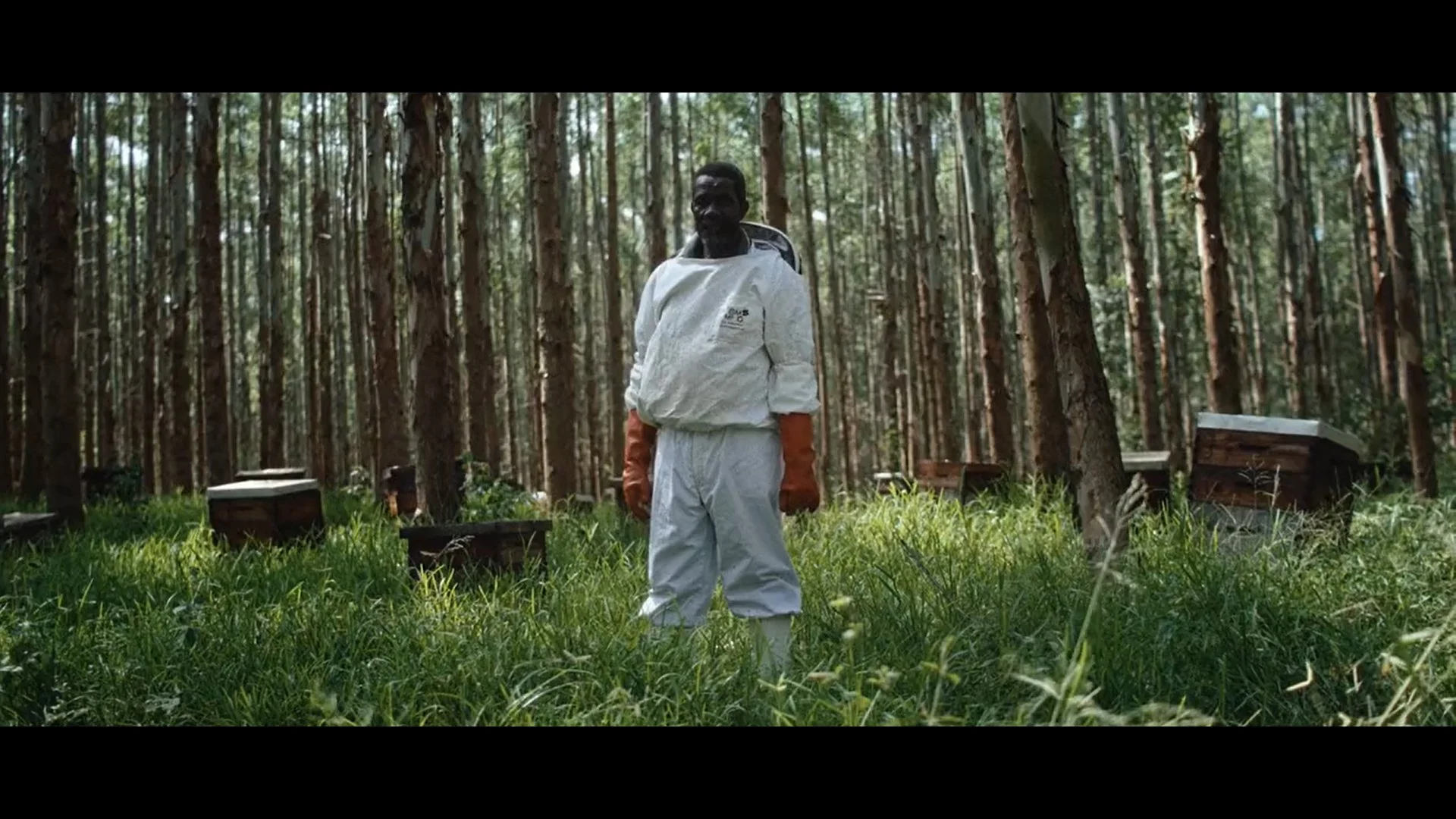 A man dressed in white protective clothing standing in a forest with bee hives around him.