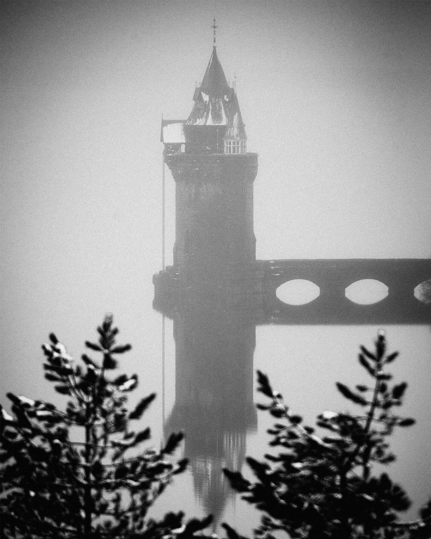 Lake Vyrnwy with overnight snowfall 🌨️❄️
#snow #lakevyrnwy #naturephotography #birds #nikon #nature #snowfall #oswestry