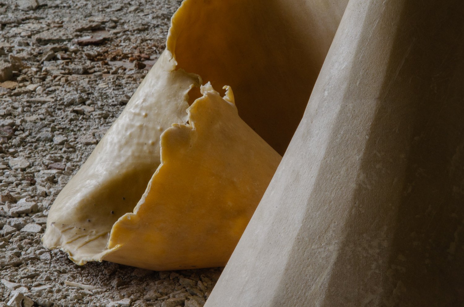 Carapace_detail2.jpg