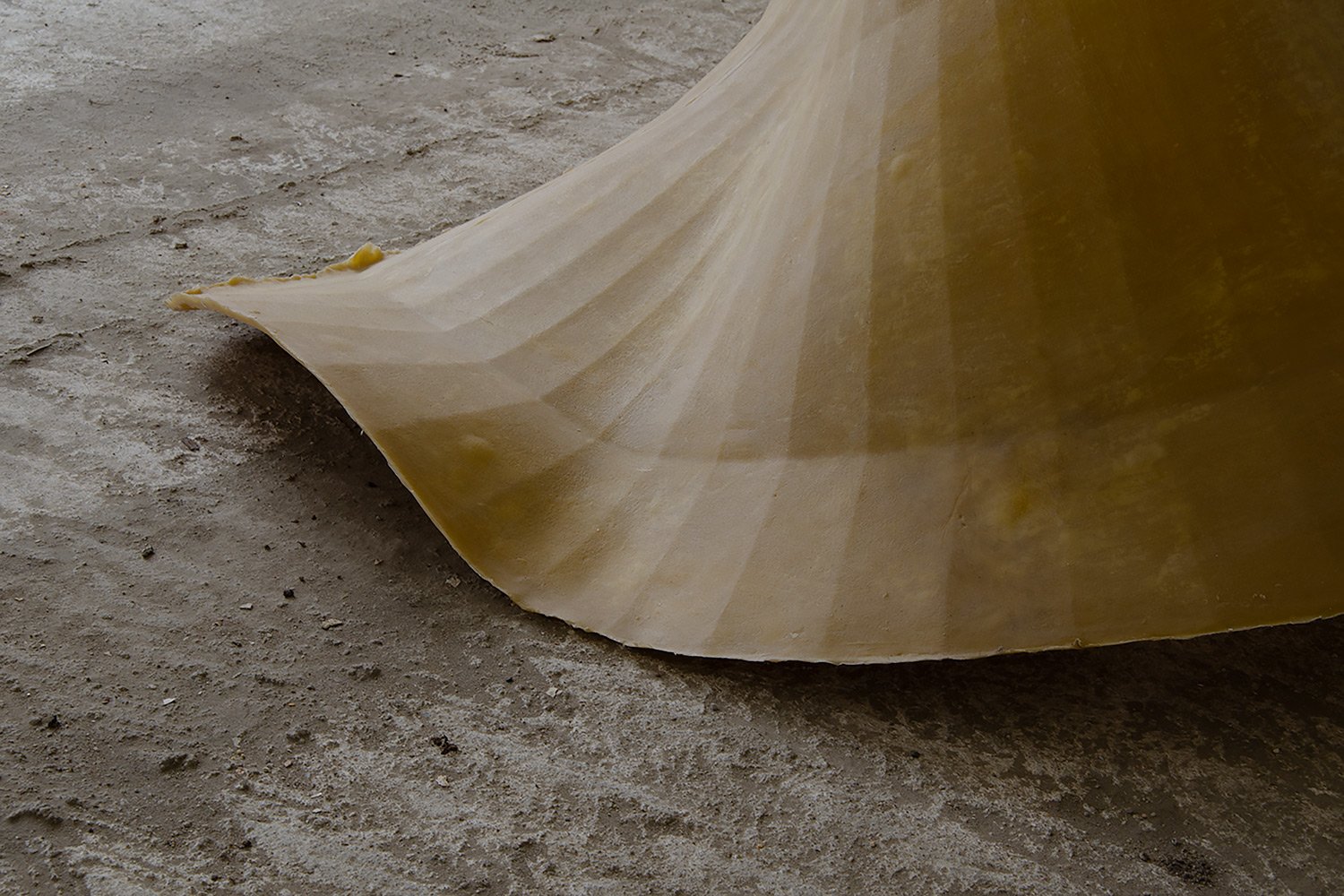 Carapace_Detail1.jpg