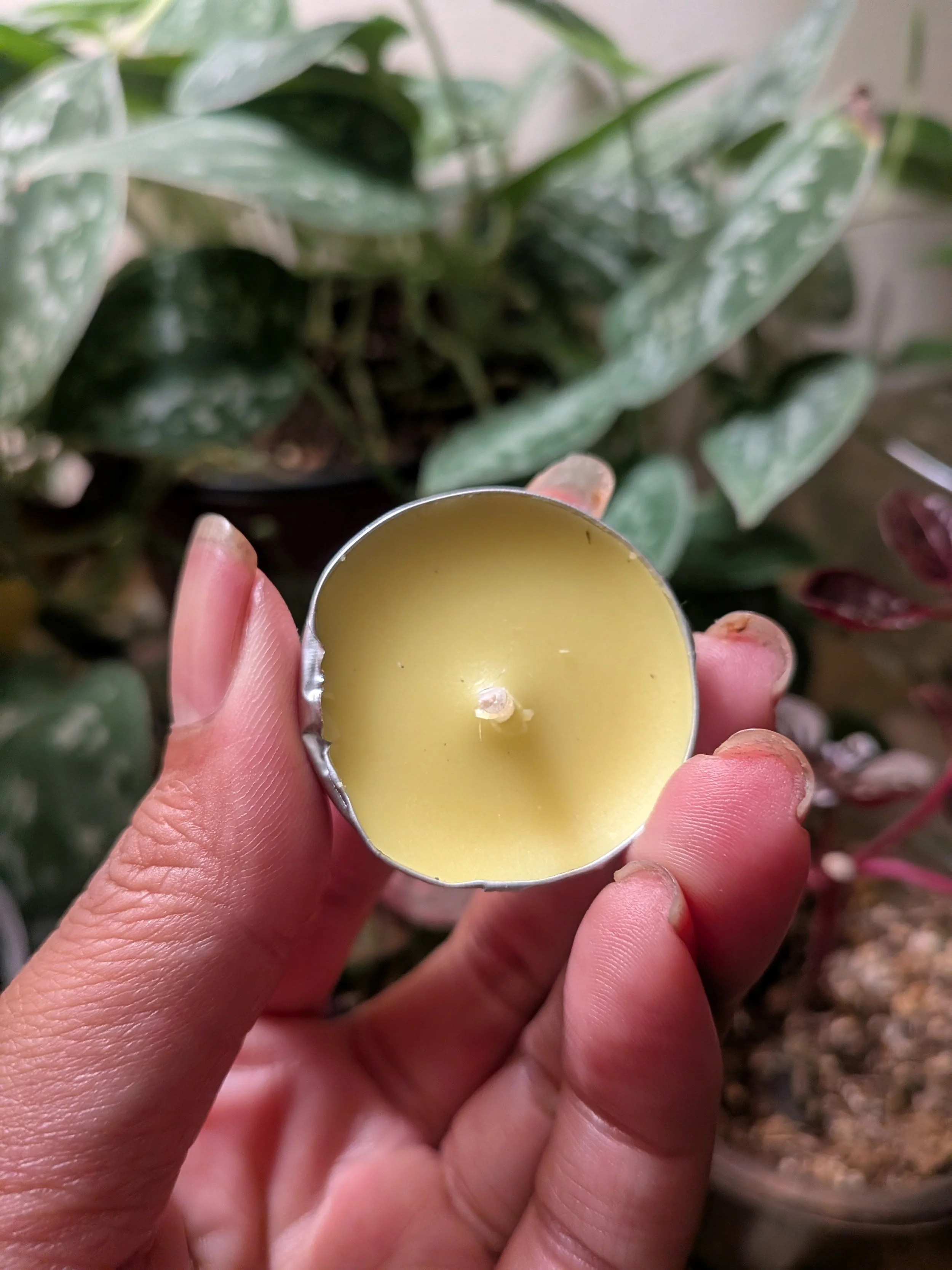 Fortune's Favor Tea Light Spell