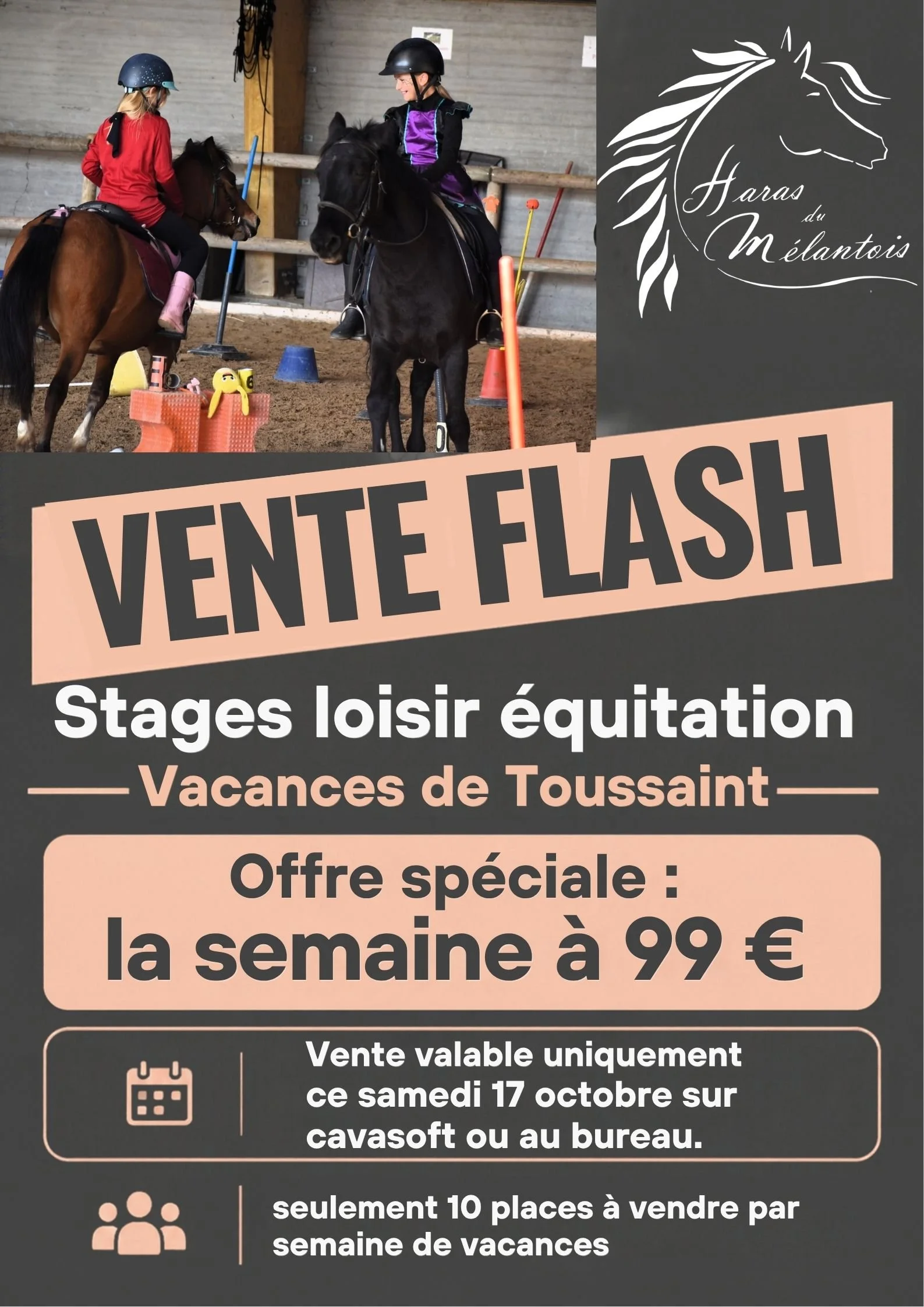 Vente flash équitation.jpg