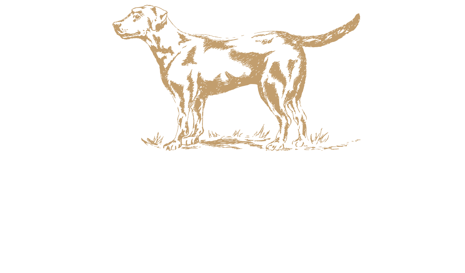 What Are Bird Dog Fees