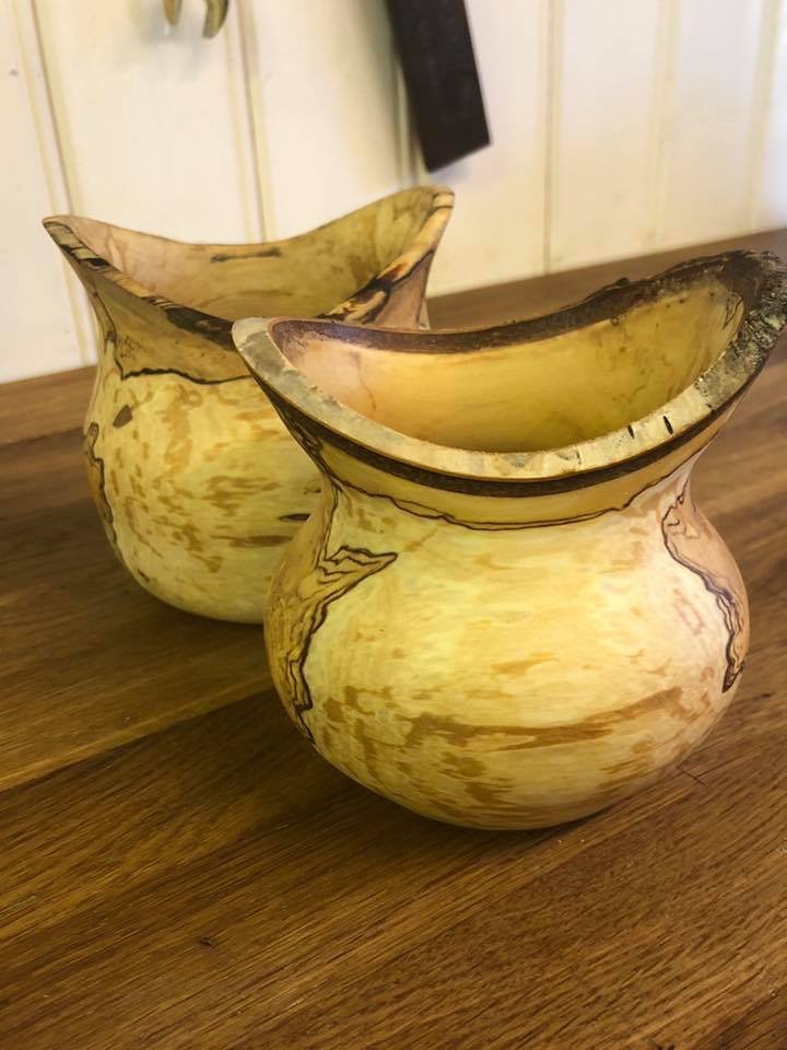 Bolle "fugleunger"