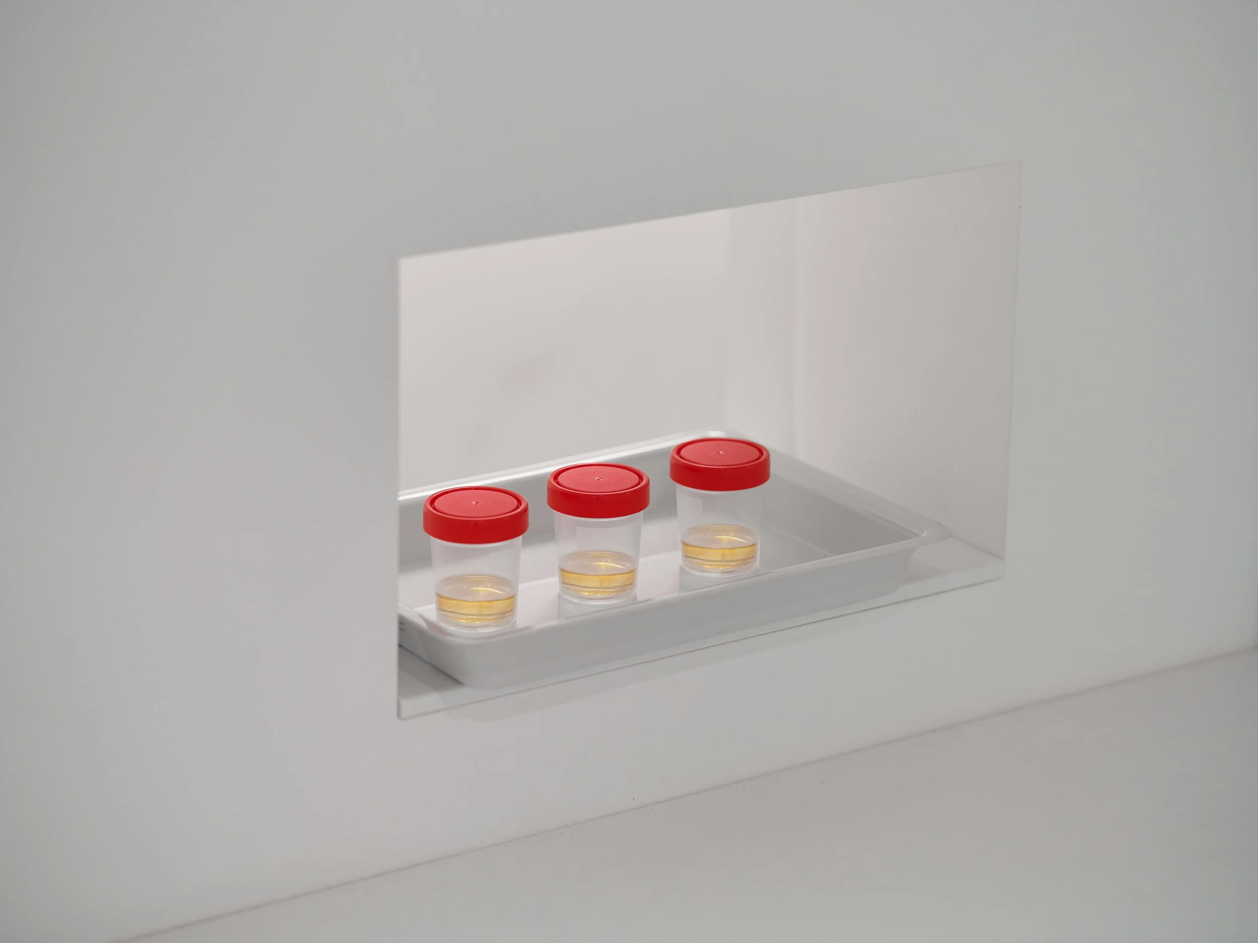 LUWIGANA foto 31.7.2025 web res 18.jpg