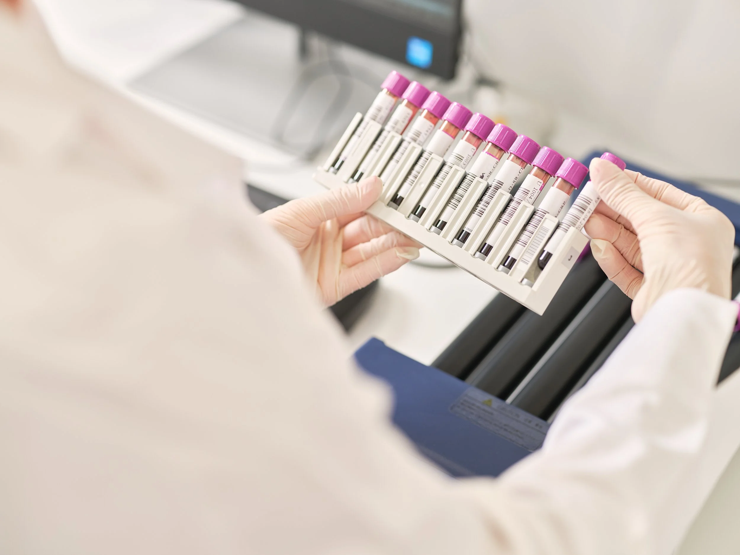 LUWIGANA foto 31.7.2025 web res 28.jpg