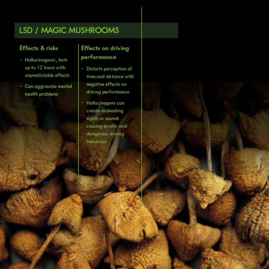 More Than Drug Driving_039.jpg