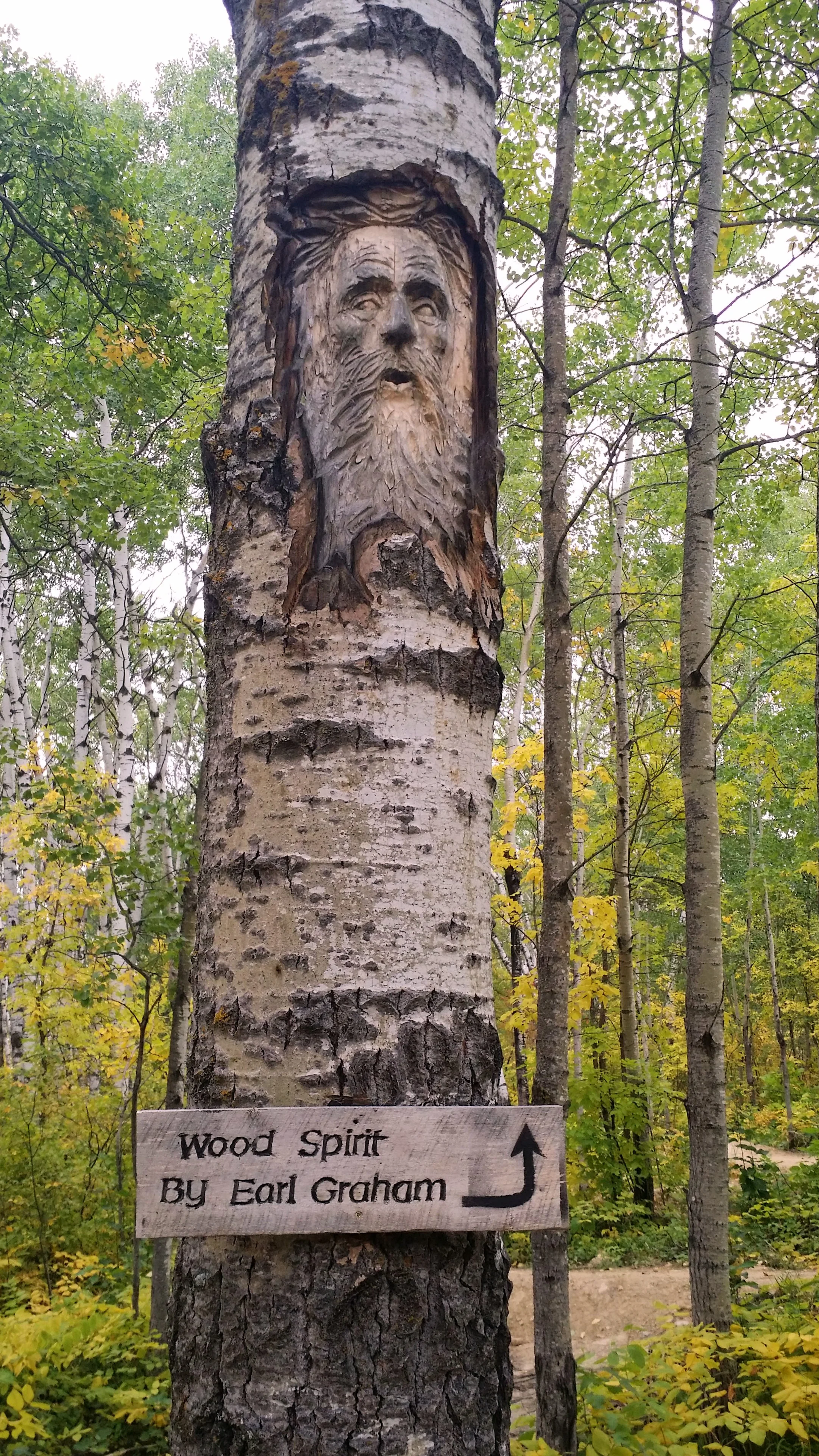 20200920_140903.jpg