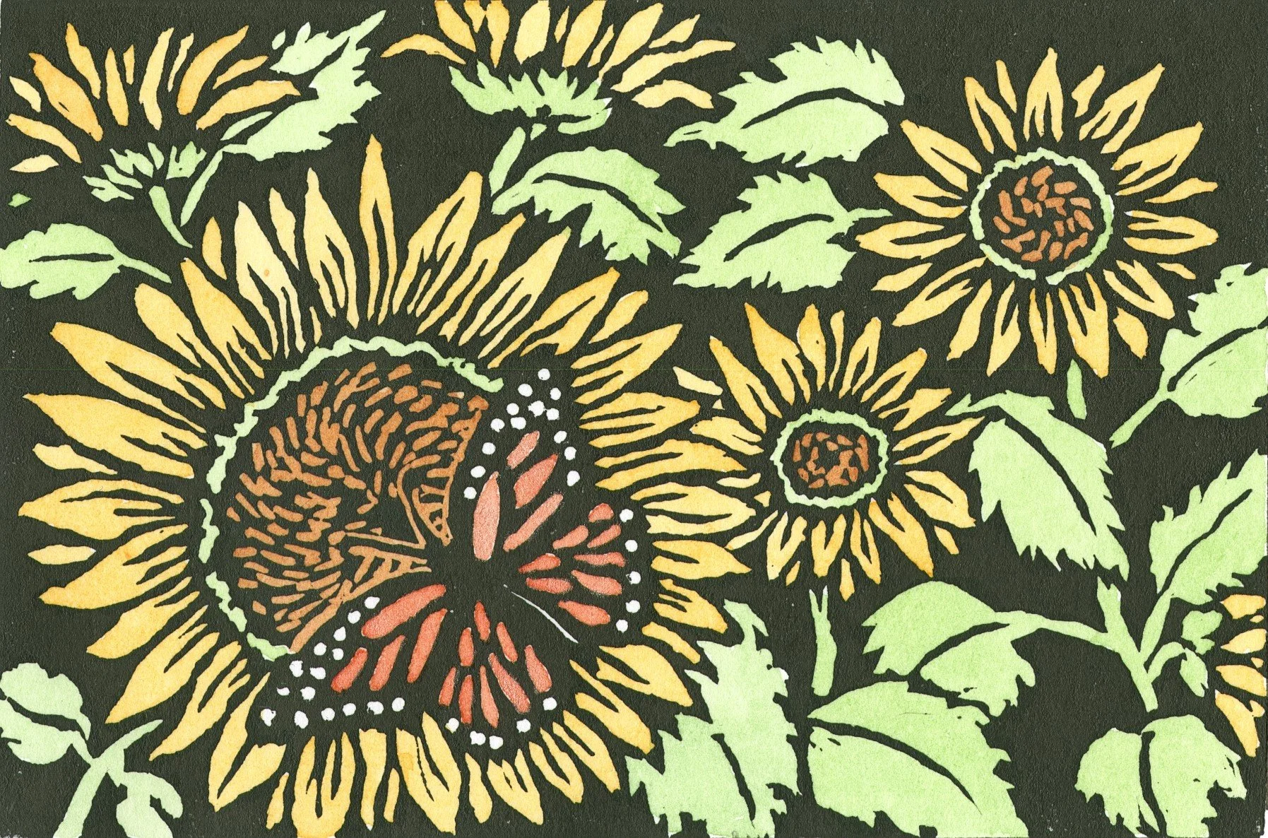 JJ #A456-3 Sunchasers crop.jpg