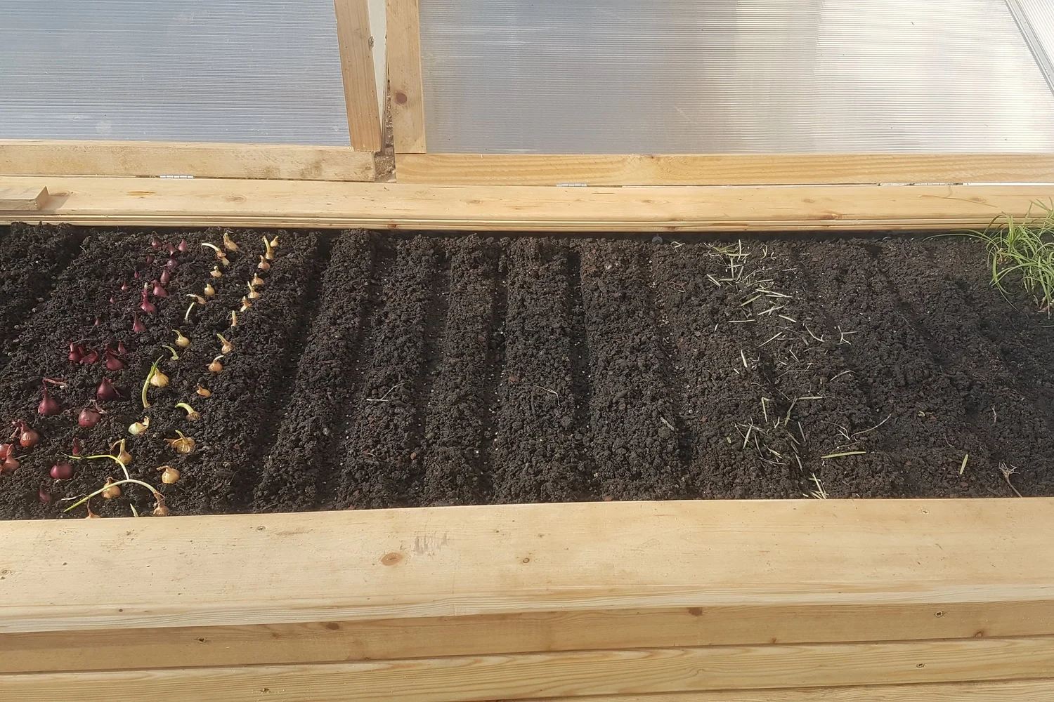 Hochbeet richtig befüllen und ganzjährig bepflanzen —