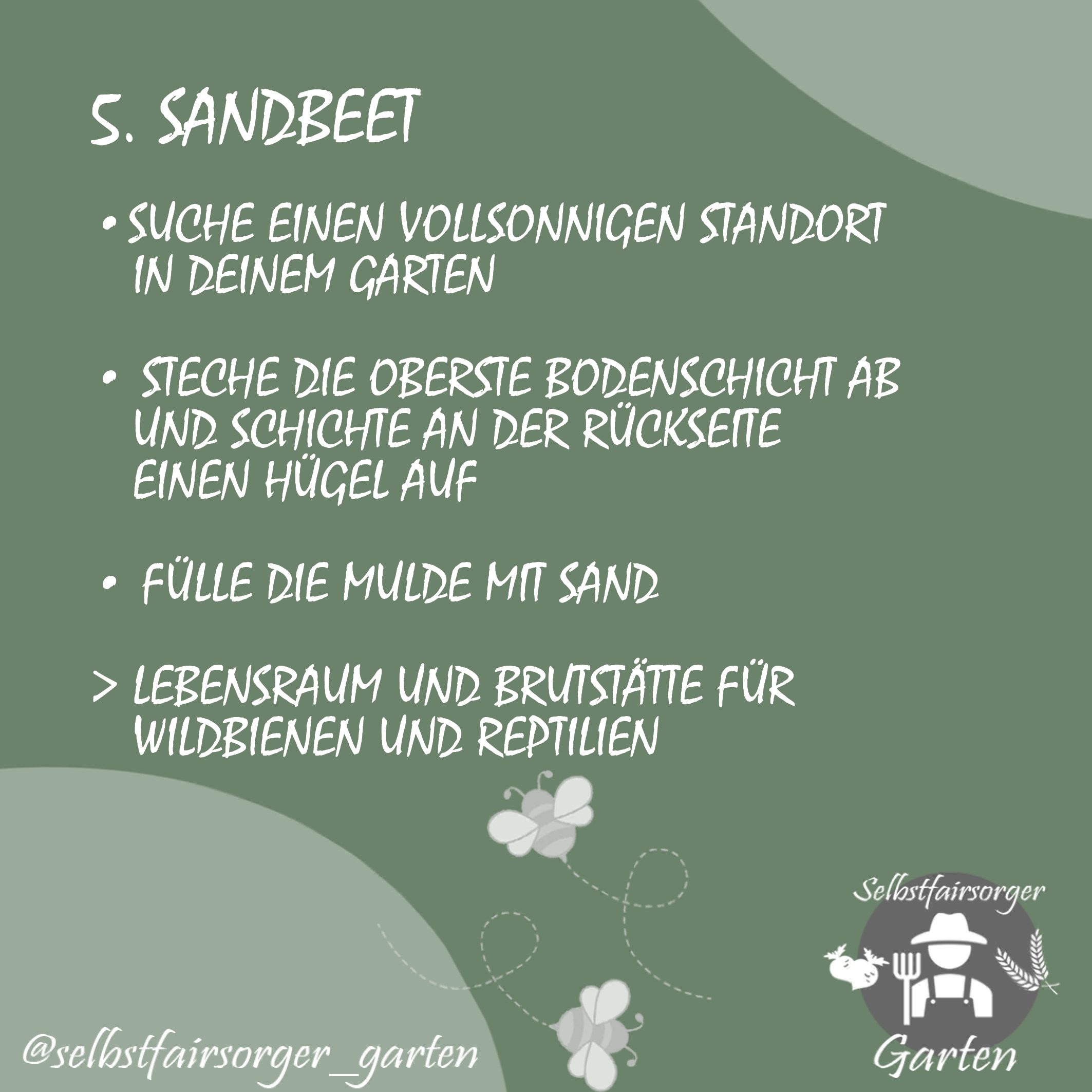 Sandbeet (Sandarium)