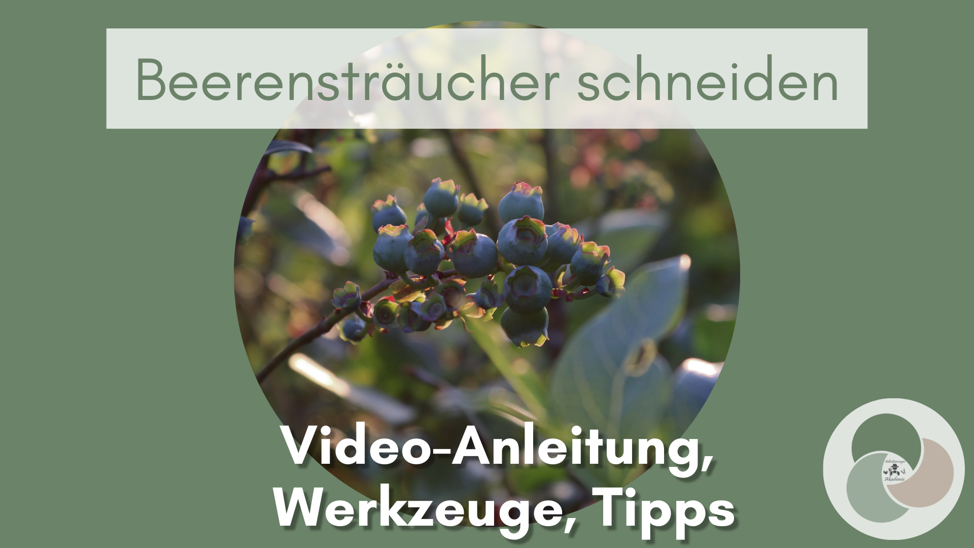 Rückschnitt für Beerensträucher und Ziersträucher -  Tipps und Anleitung 