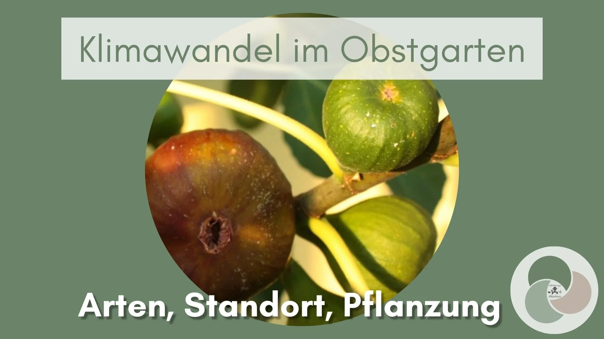 Klimawandel im Obstgarten: Exotische Arten, Standortwahl, Pflanzzeit 