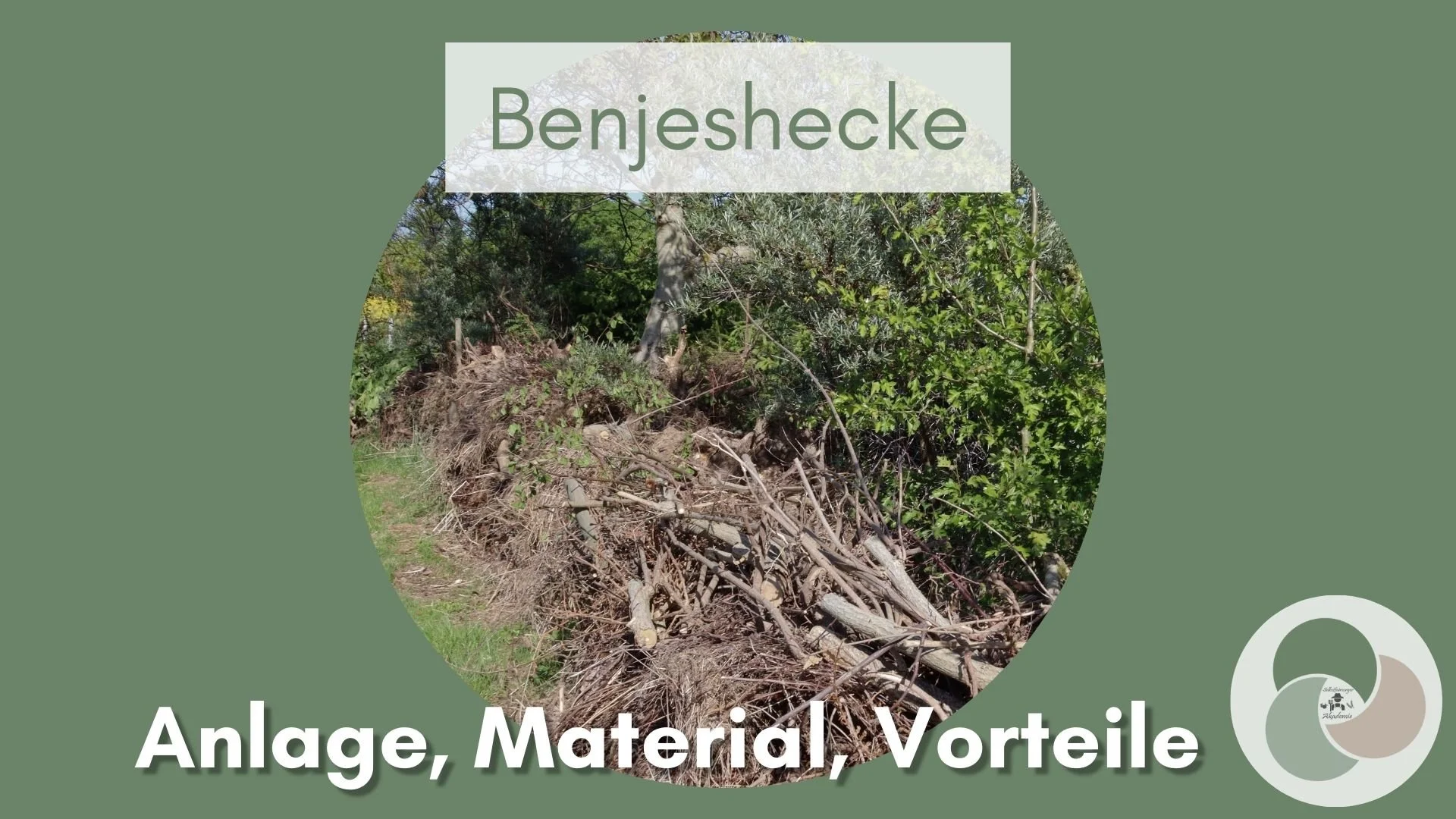 Benjeshecke: Natürlicher Unterschlupf und Sichtschutz aus Totholz 