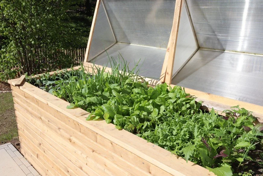 Hochbeet richtig befüllen und ganzjährig bepflanzen- Tipps, Anleitung &amp; Pflanzpläne