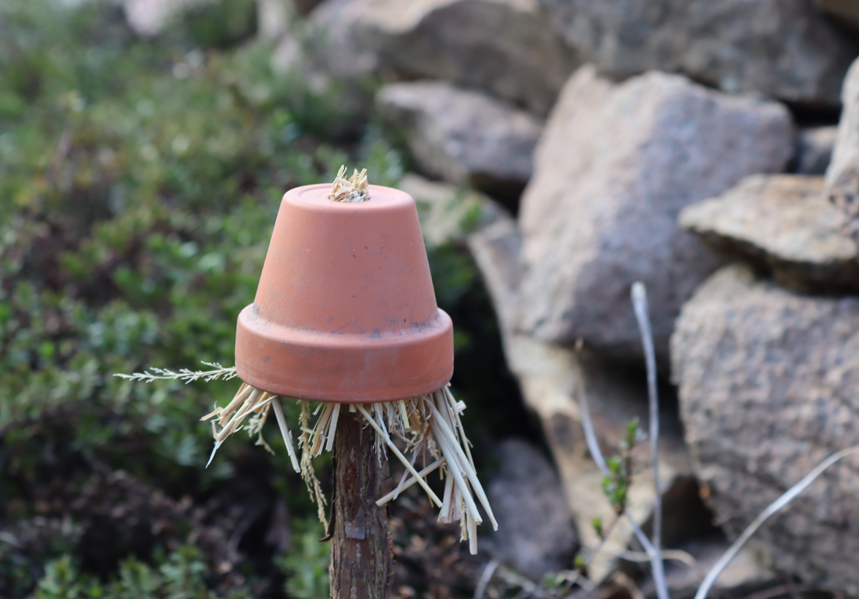 Permakultur im Nutzgarten