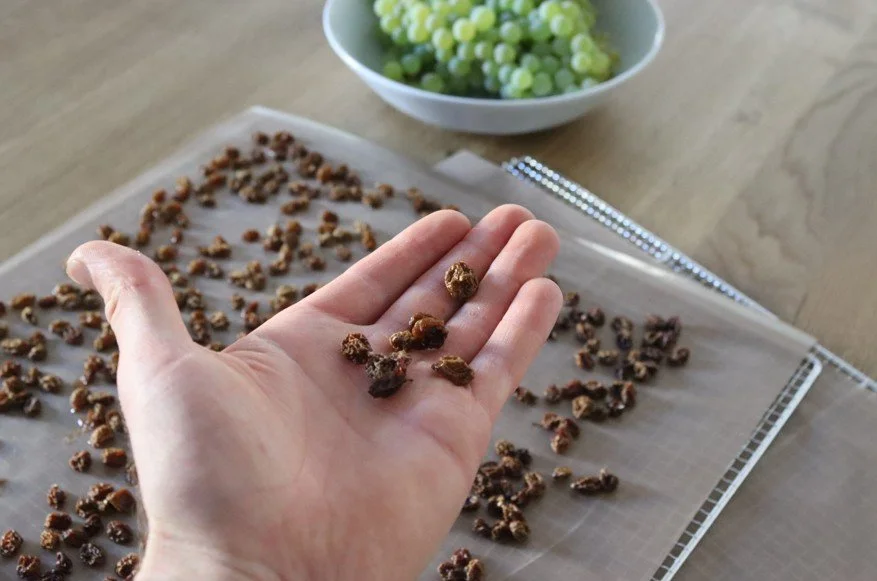 Ernte dörren: Obst und Gemüse haltbar machen durch Trocknen