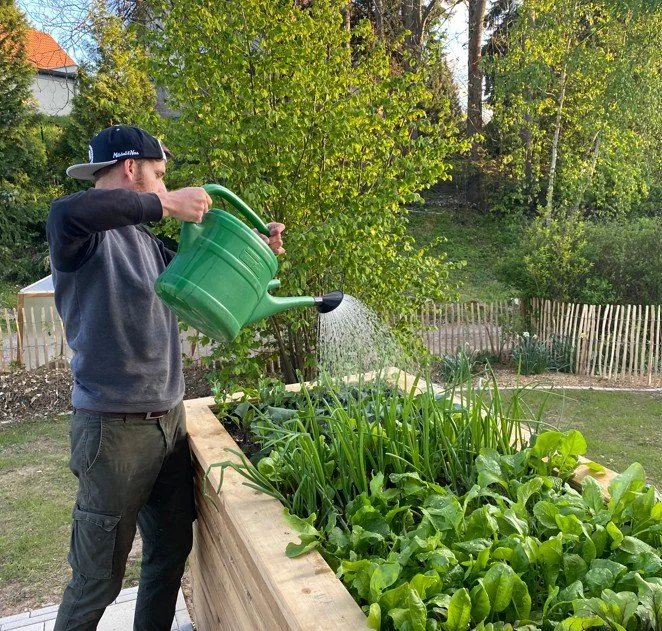 Gemüsegarten richtig gießen: Bewässerung bei Trockenheit