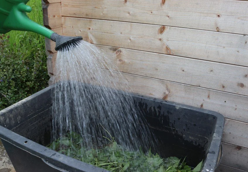 Pflanzenjauche: Natürlichen Dünger selbst herstellen