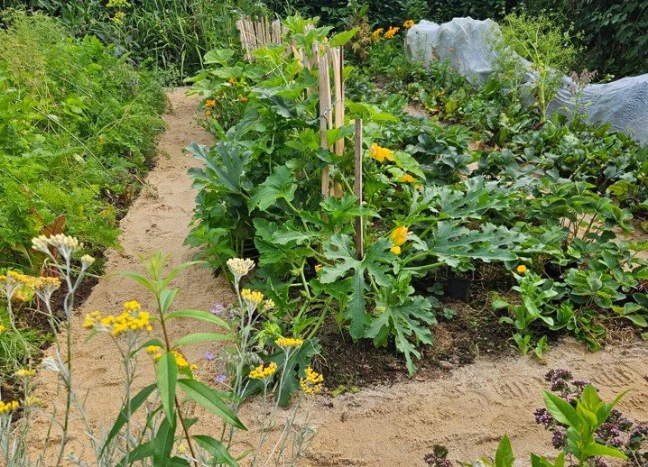Anbauplanung - Gemüse anbauen mit Fruchtfolgen und Mischkultur