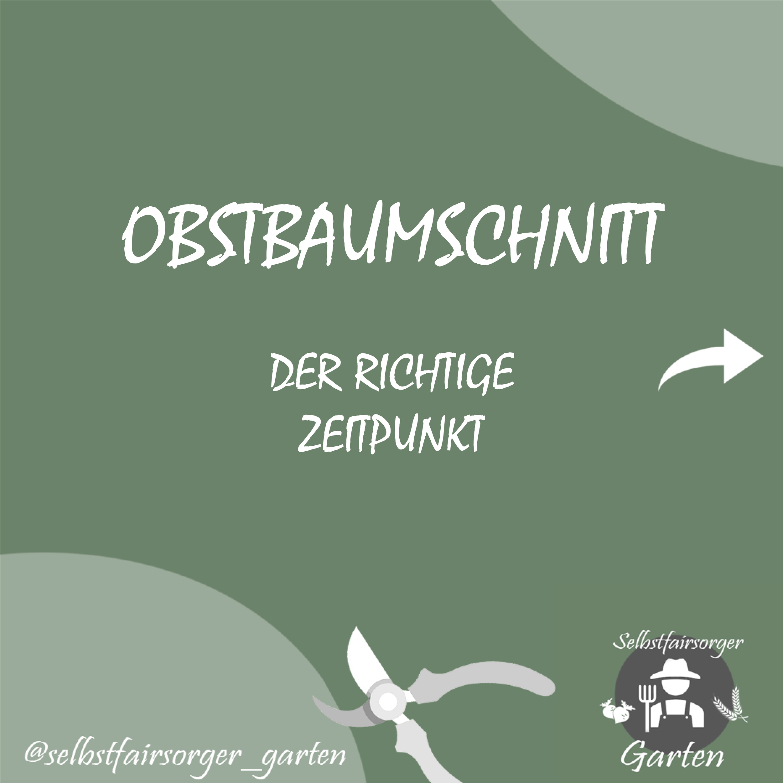 Obstbaumschnitt Anleitung