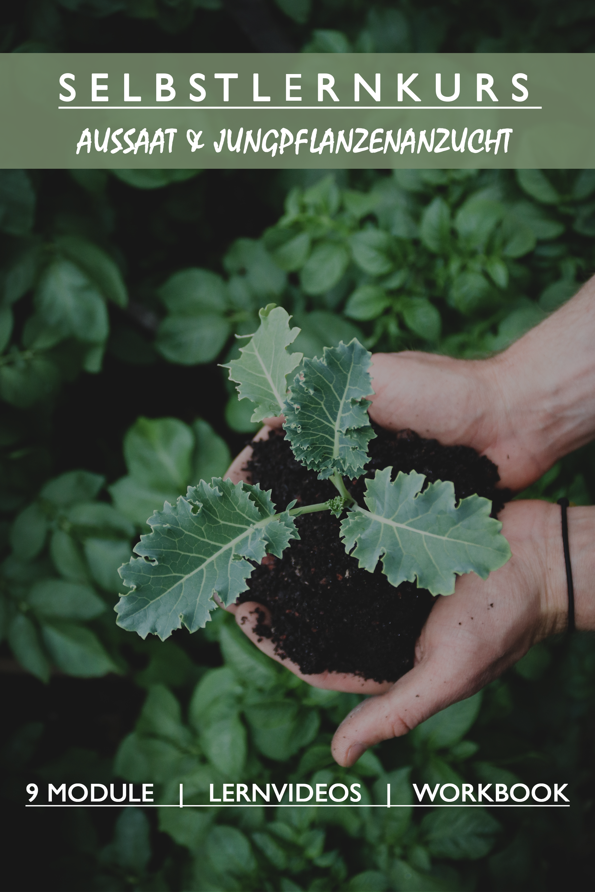 Selbstlernkurs - Aussaat & Jungpflanzenanzucht