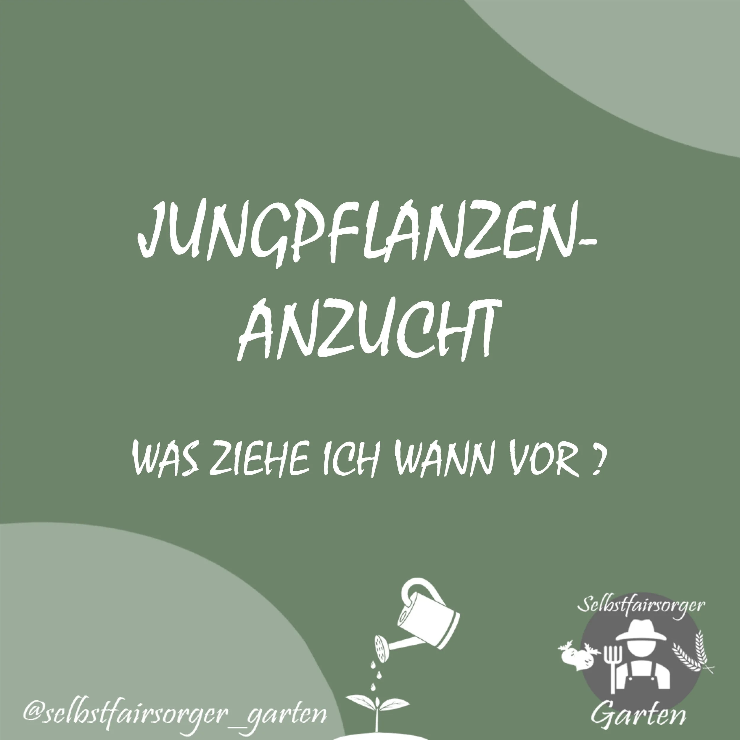 Jungpflanzenanzucht Planung