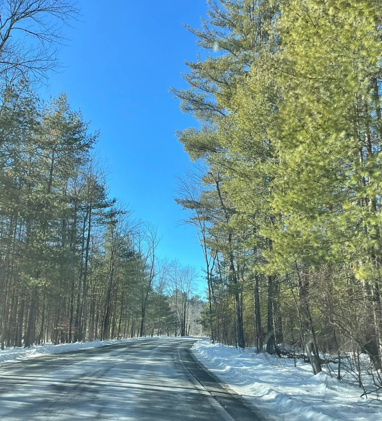 Disconnected for a few days.

Reveled in the snow. Touched grass (for real). Quietly watched deer families eat breakfast. Learned the beauty of medicinal foraging. Tried my hand at some art. Spent unhurried time with a good friend. Read a book &mdash