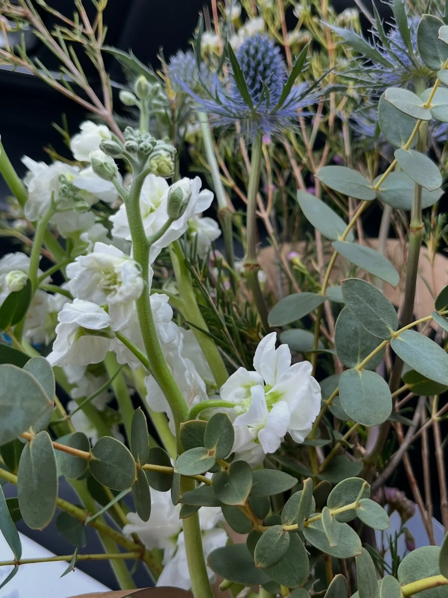 Celebrated my birthday a bit early this weekend with family at brunch and BLOOM. 

The inaugural event brought together local makers and small businesses to celebrate &hellip; Spring! Flowers and well being lessons galore. It was a great way to celeb