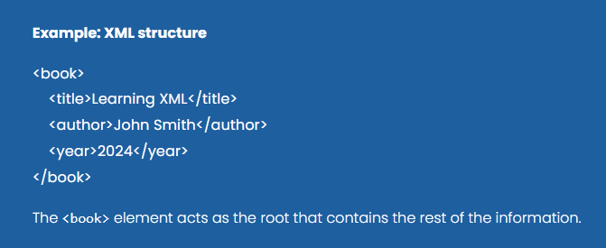 Lesson 1.2 — Basic Structure of an XML Document