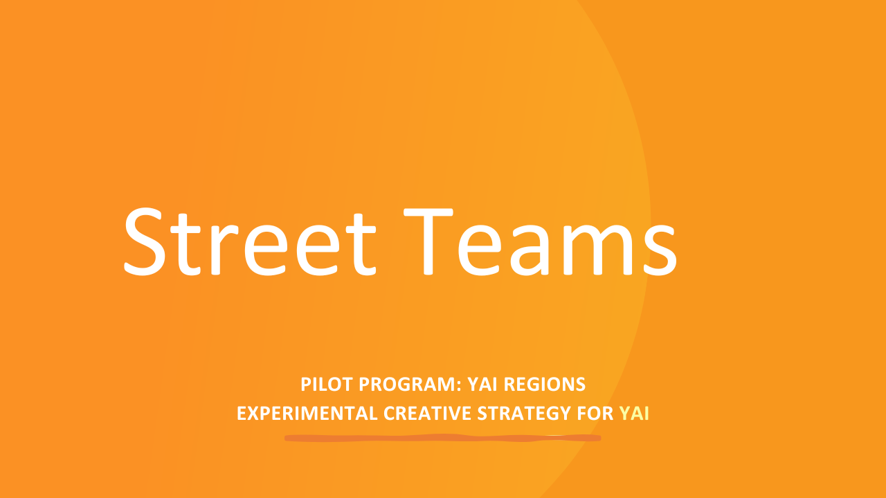 Launching Impact: Pilot Program for Non-Profit Growth