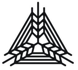 A black geometric spider web design