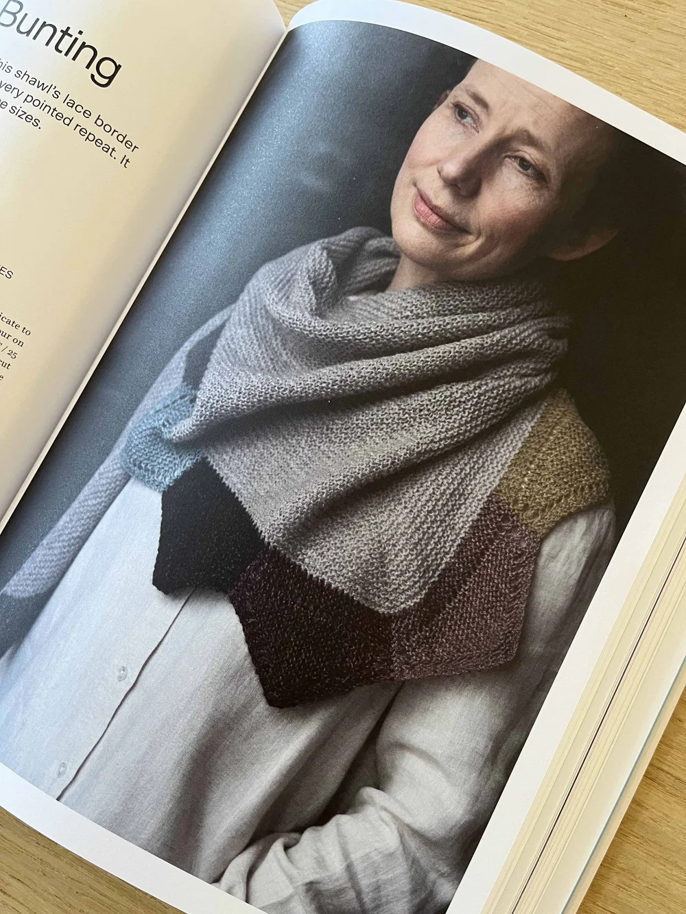 24 Bloomfield Bunting by Sam Lamb