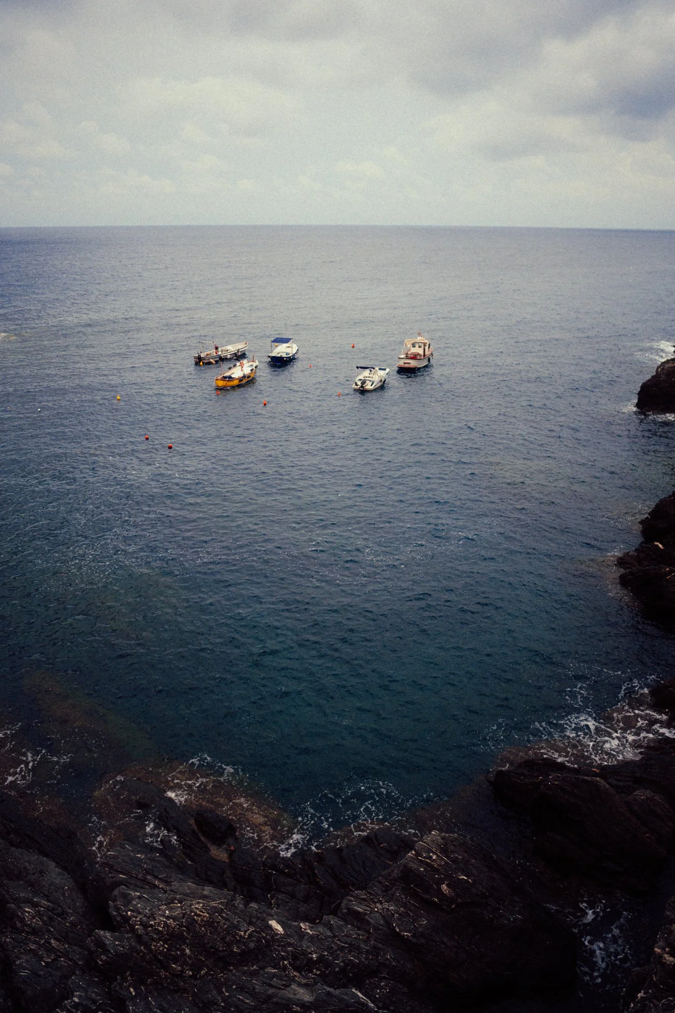 TWS07014.jpg