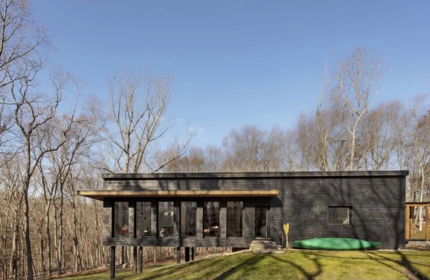 Screen Shot 2021-03-16 at 12.47.44 PM.jpeg