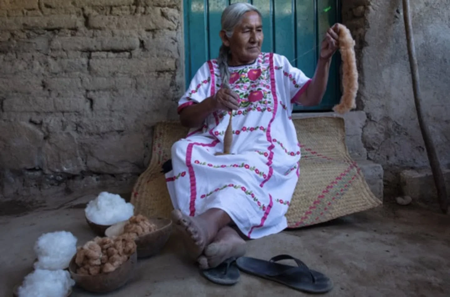 &quot;Humankind has not woven the web of life. We are but one thread within it.&rdquo;&mdash; Chief Seattle, Duwamish

This season of gratitude, we want to say a heartfelt thank you to our incredible community. Your support and contributions to our p