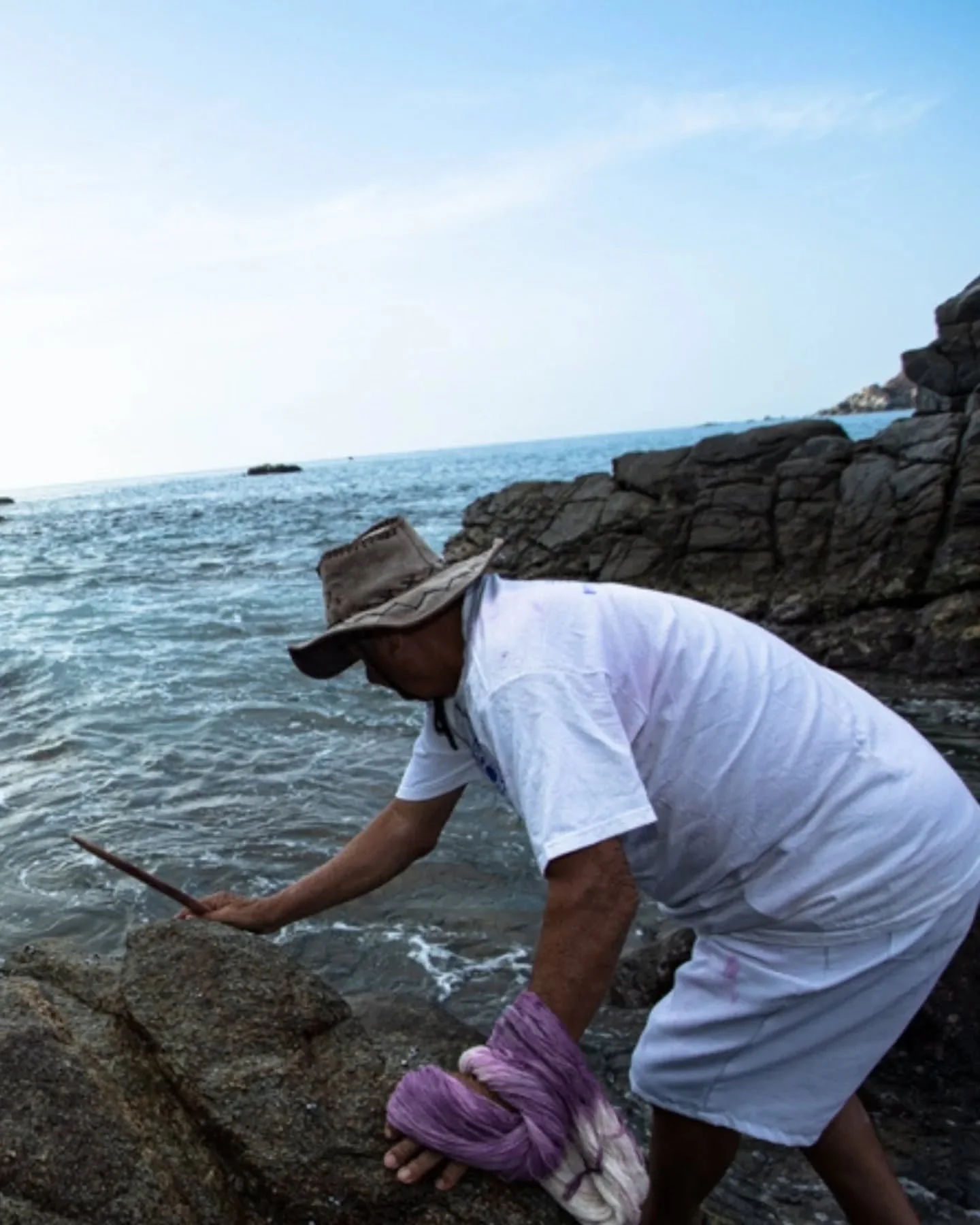 On the Pacific coast of Oaxaca, Mixtec dyer Habacuc Avenda&ntilde;o Luis walks the rocks at low tide - as his ancestors have done for over 1,500 years.

He gently lifts a small sea snail (tixinda / Plicopurpura pansa), presses it softly, and brushes 