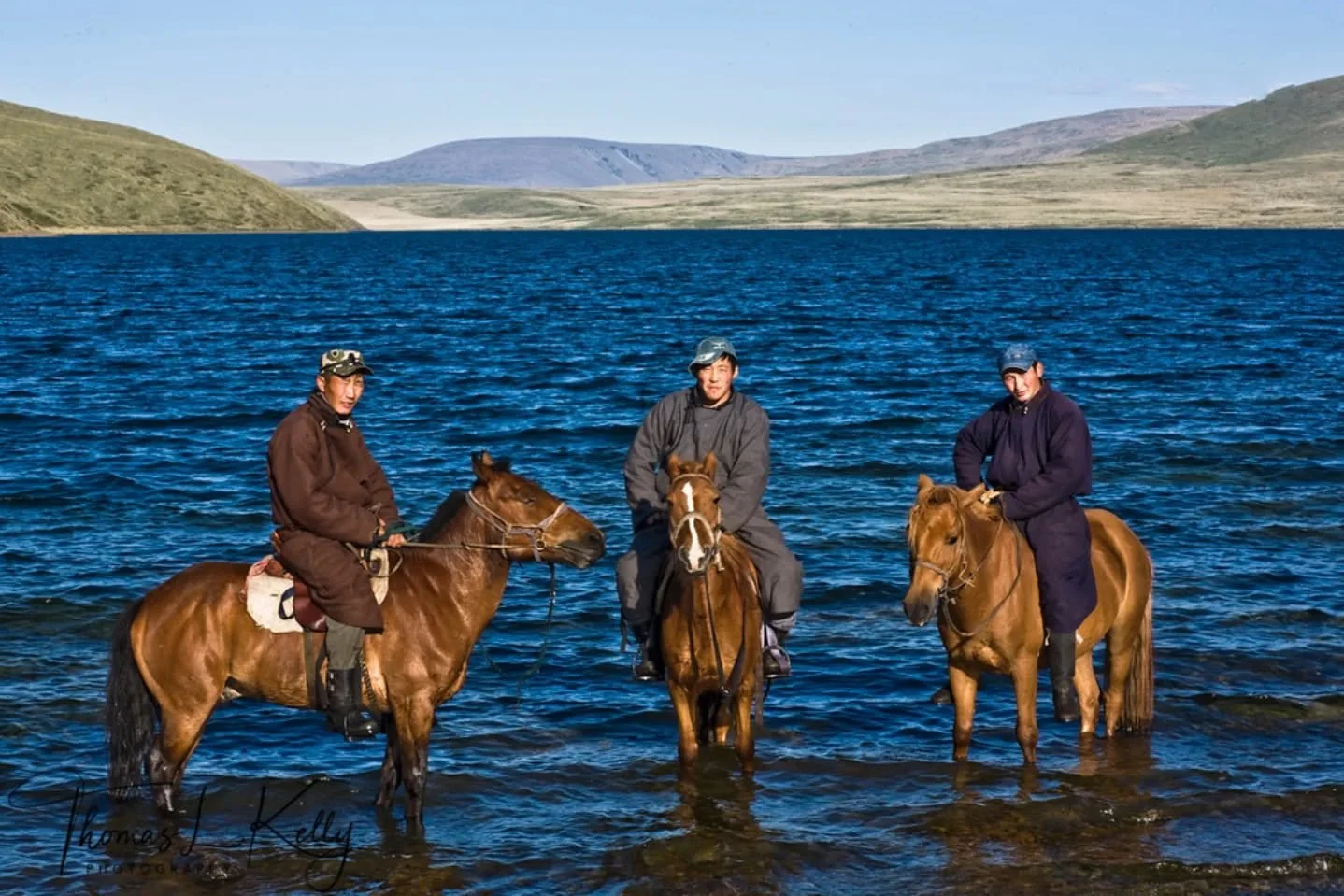 he Year of the Fire Horse: A Gallop Toward Transformation. 

In the lunar calendar, 2026 belongs to the Fire Horse- a rare, spirited energy that arrives only once every sixty years. The Horse represents the ultimate bridge between the wild and the wo