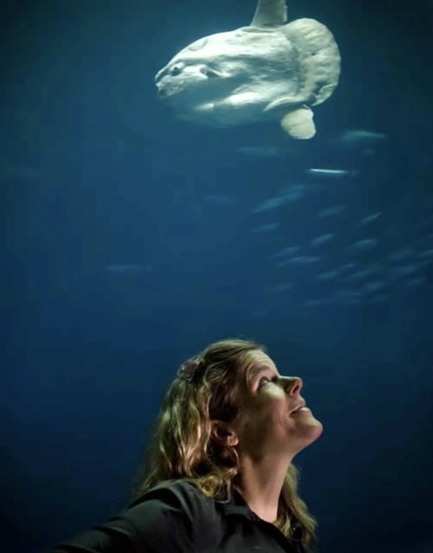 It is with profound sadness that we share that our beloved co-founder, 
Dr. Tierney Thys, passed away peacefully today.

Tierney lived with a deep love for the ocean, for wild places, and for the fragile beauty of life on this planet. An explorer, bi