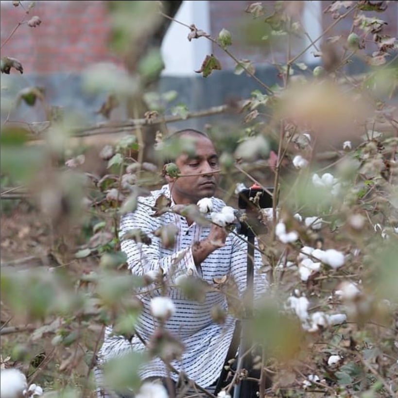 Bengal Cotton Muslin — Around The World in 80 Fabrics