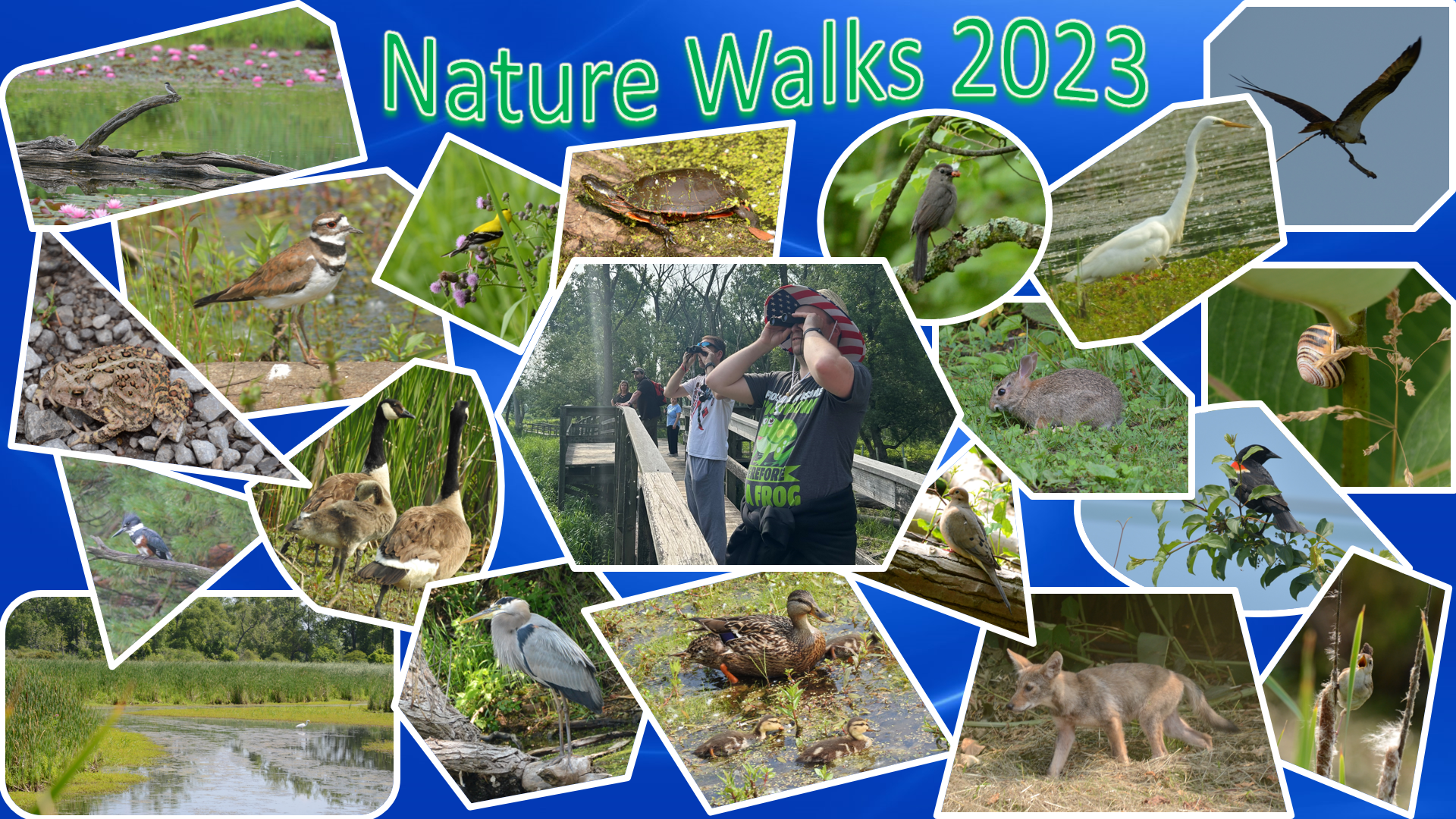 2023_NatureWalks