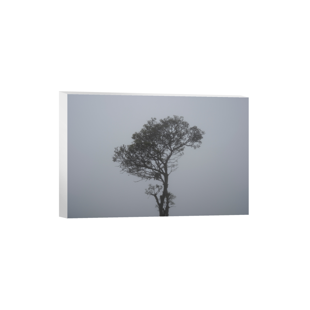 canvas_rectangle2_3_0_0_6000_4000_0_false_ffffff_0_0.png