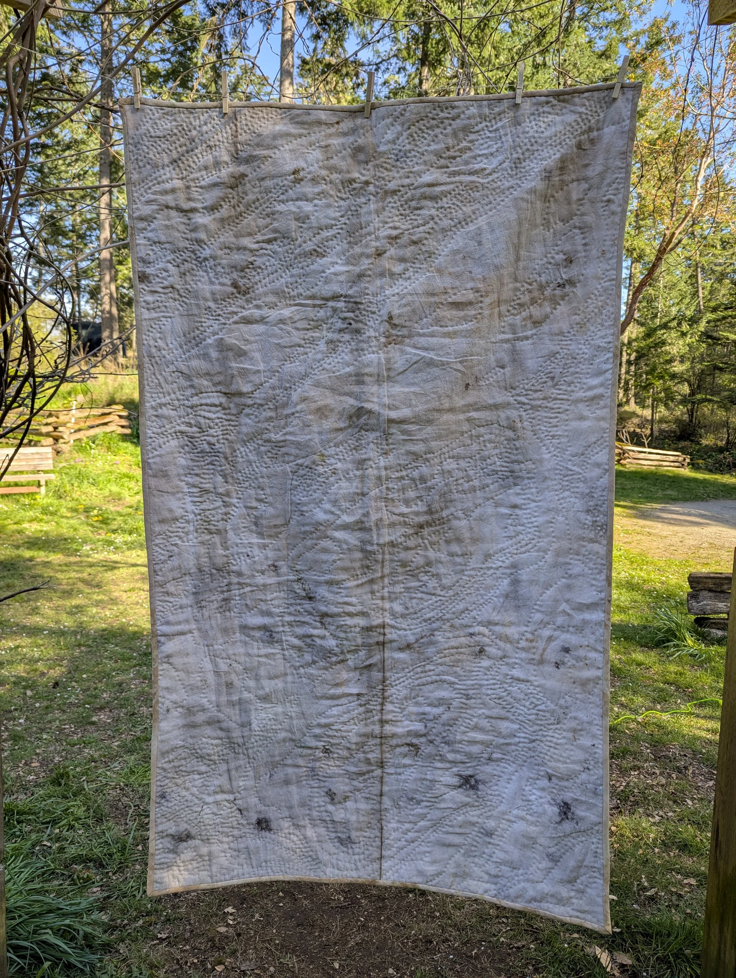 PXL_20250413_234603615.jpg
