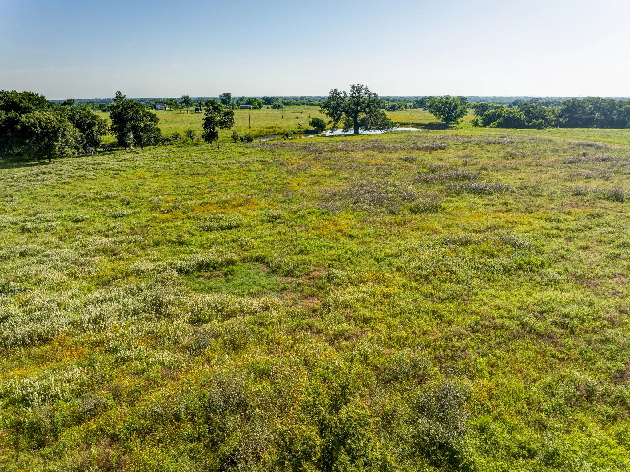 Land For Sale in Kingsbury, Texas Guadalupe County — Land Up
