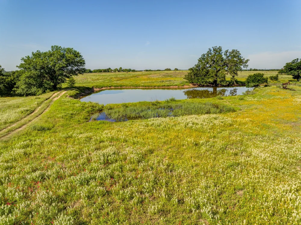Land For Sale in Kingsbury, Texas Guadalupe County — Land Up