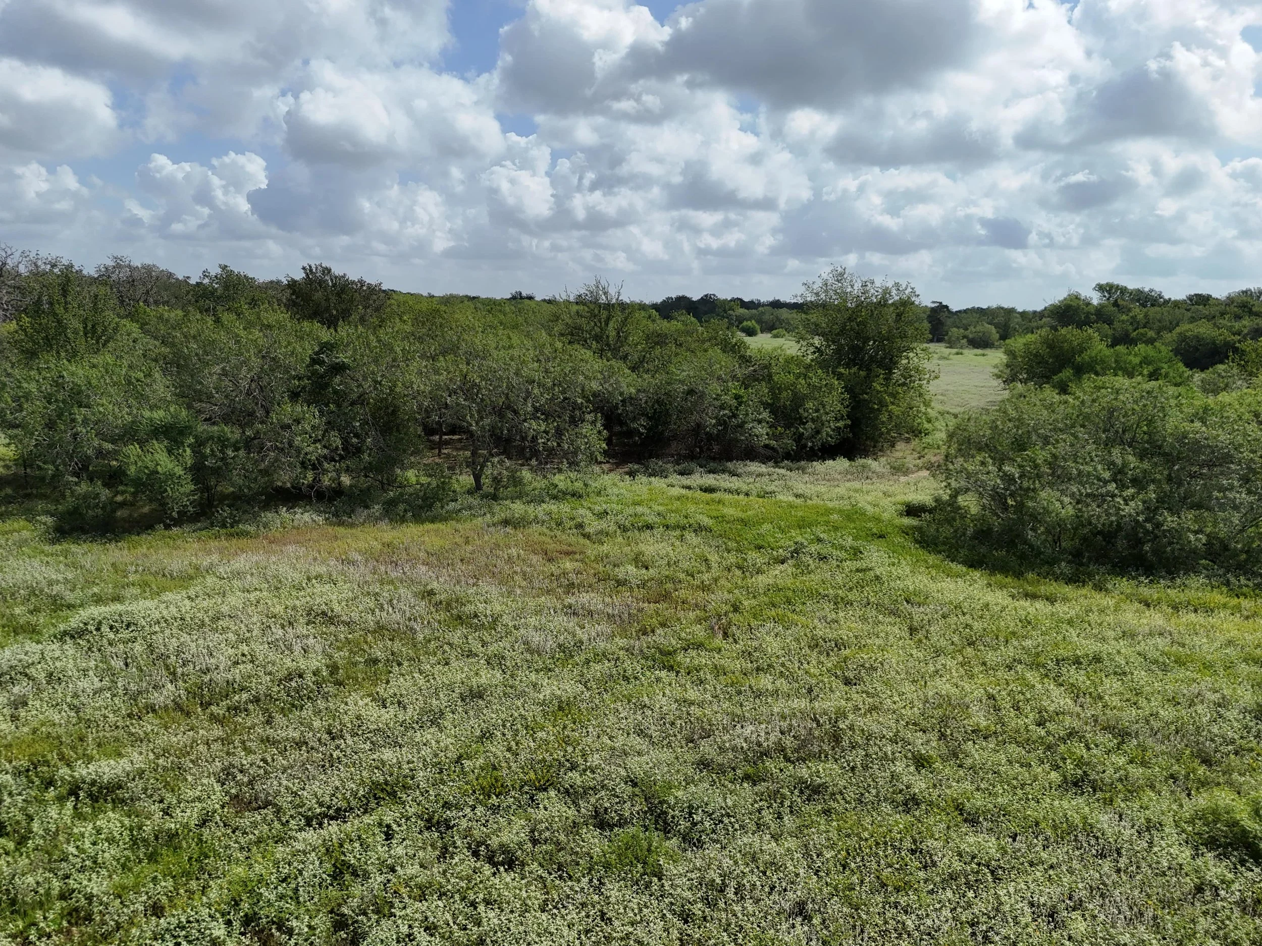 DJI_20250728104253_0161_D-min.JPG