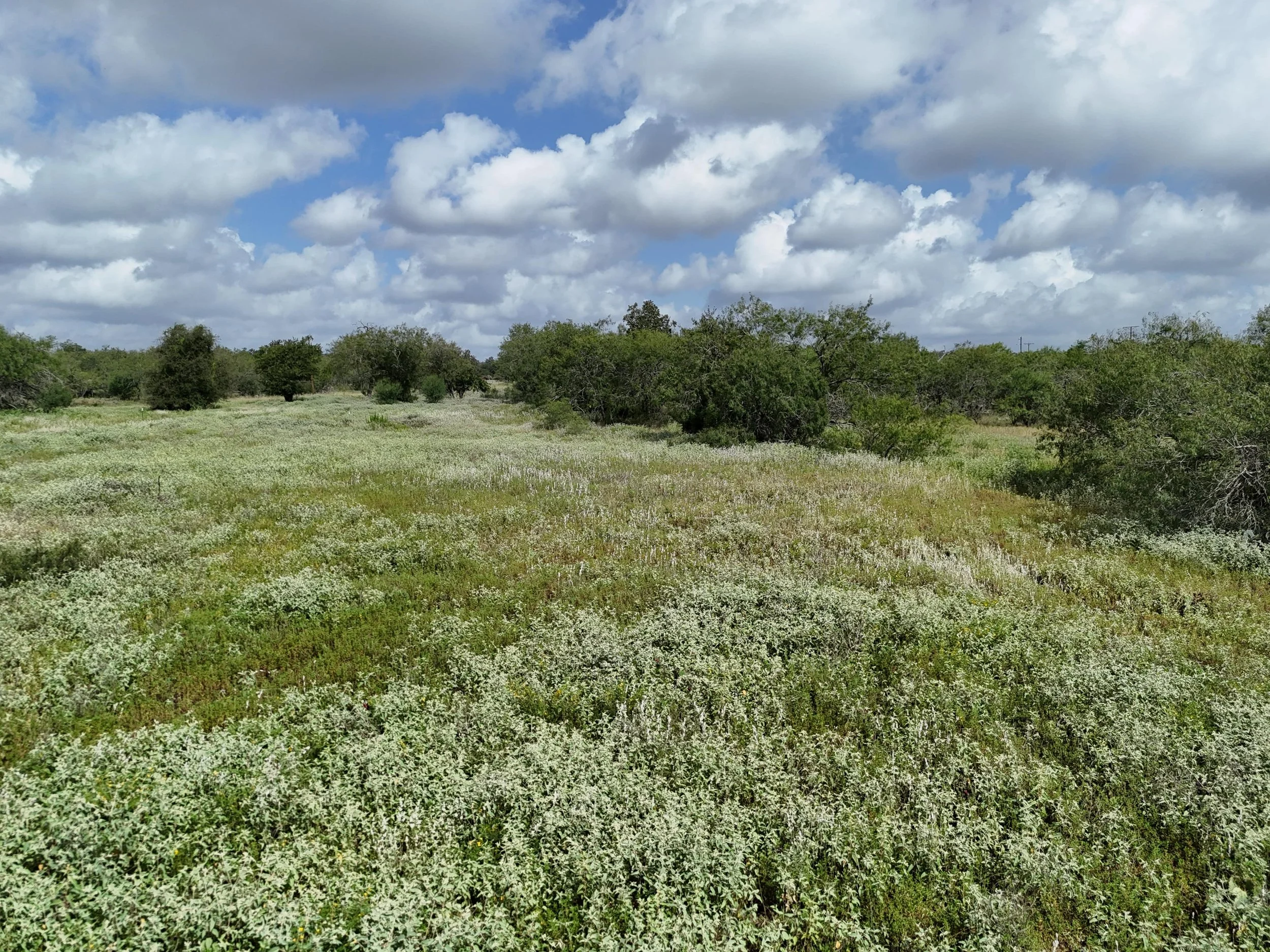 DJI_20250728104409_0164_D-min.JPG