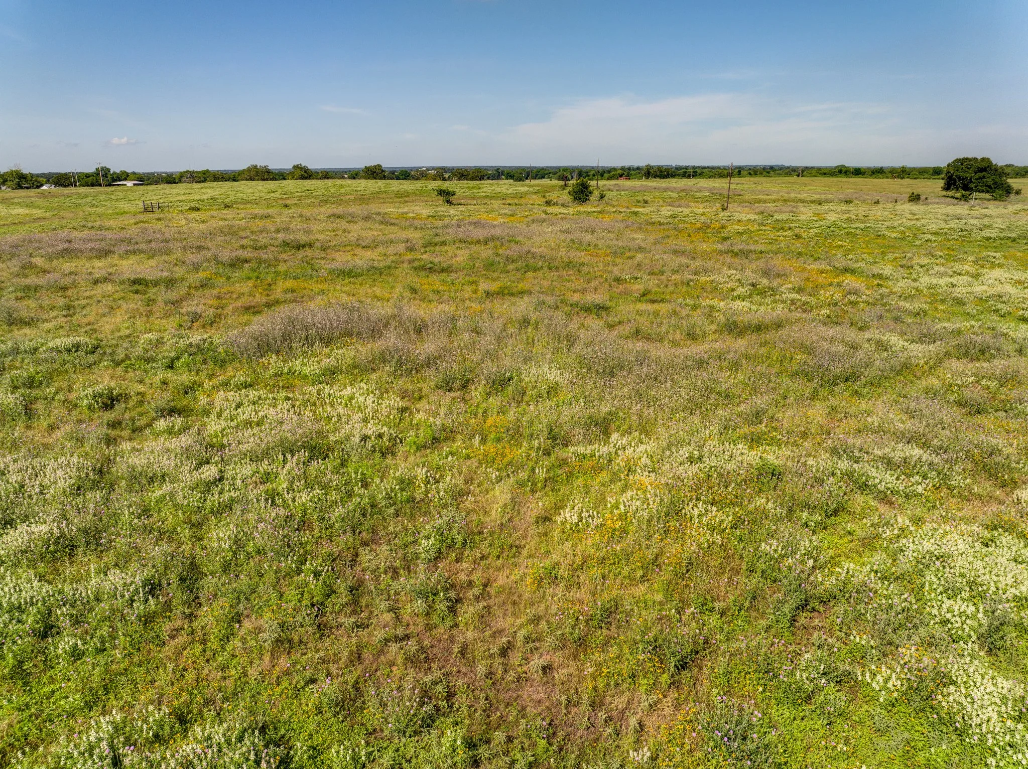 Woodrow Tract2 (15 of 19).jpg