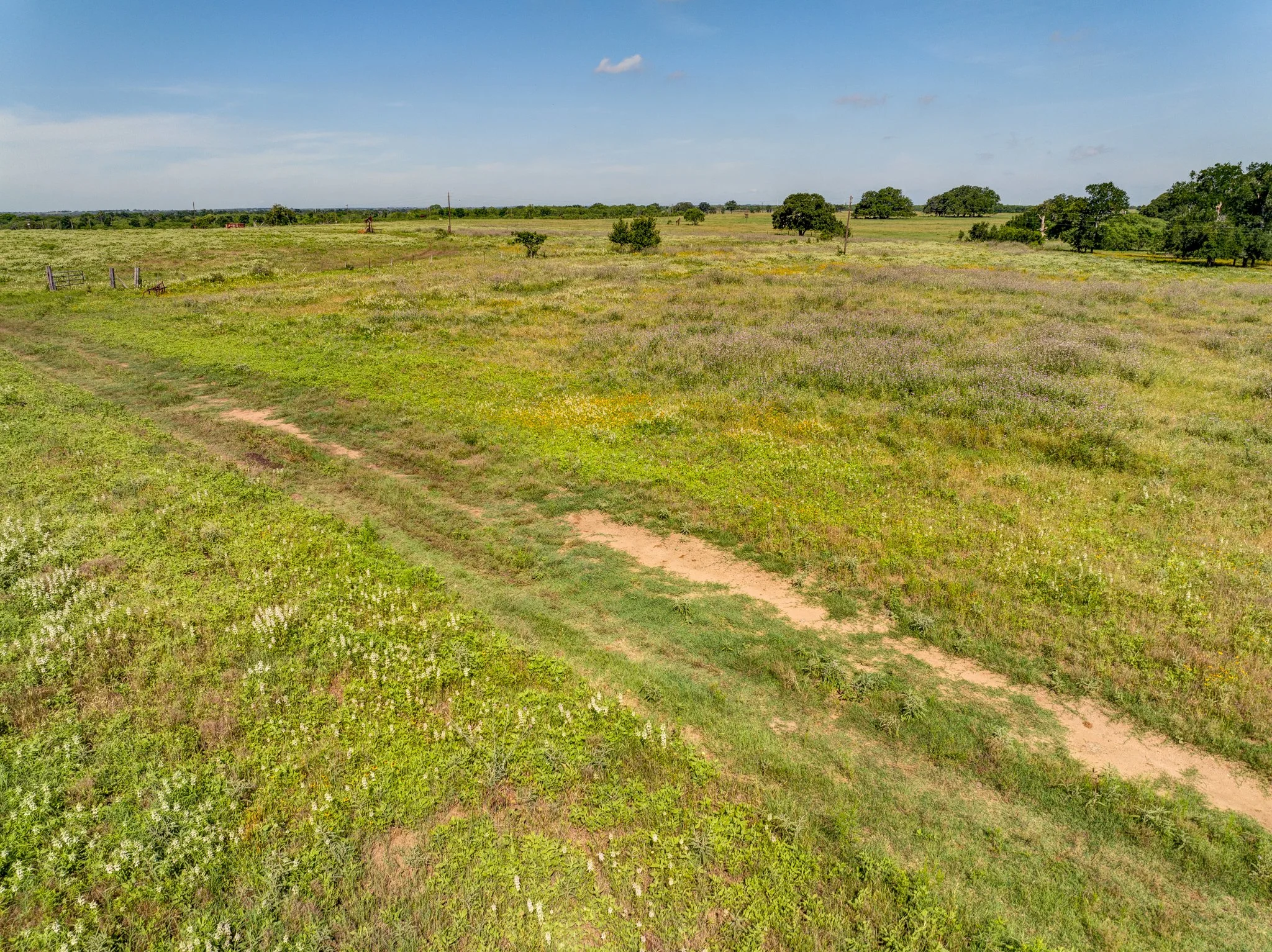 Woodrow Tract2 (17 of 19).jpg