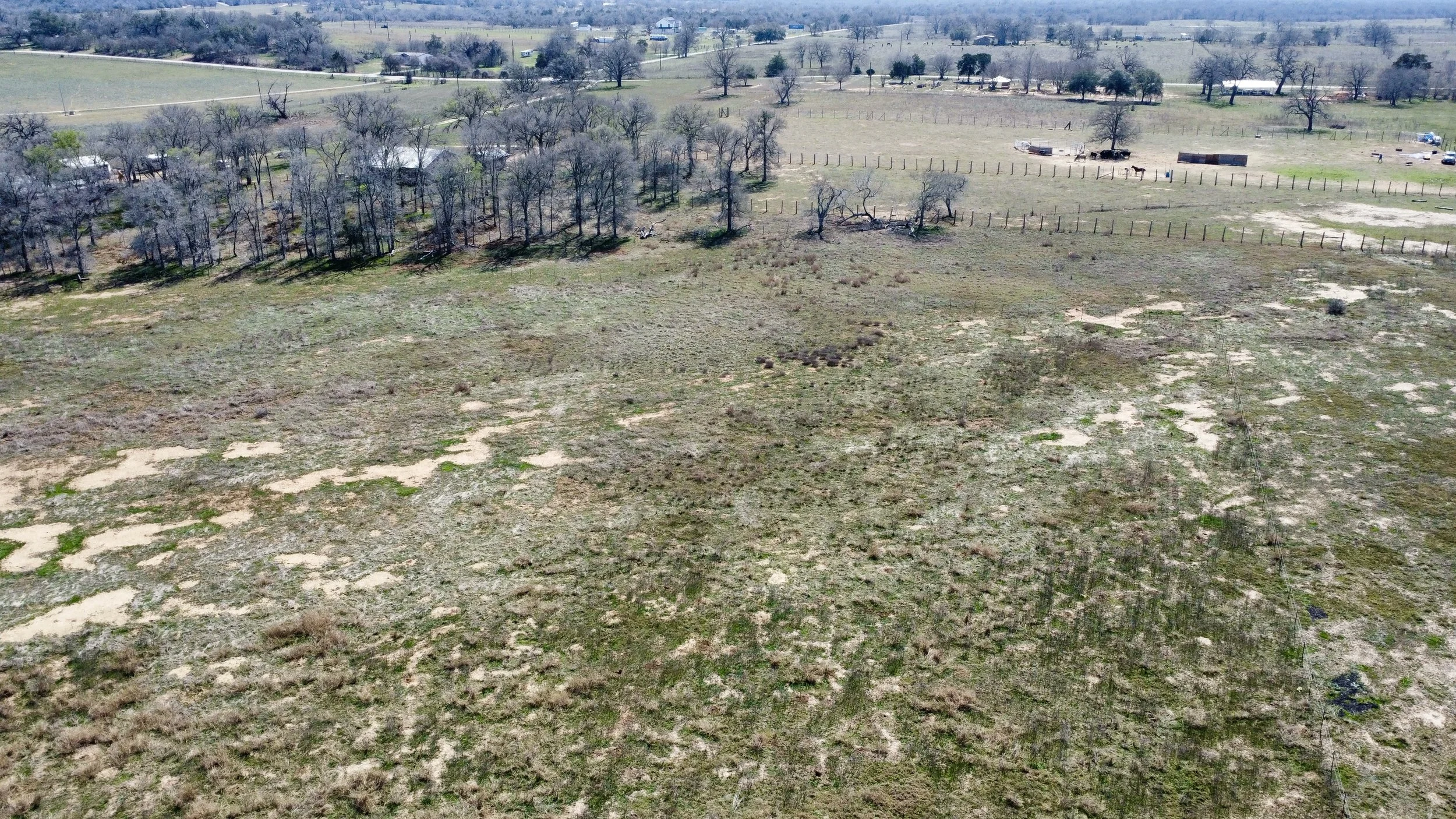 dji_fly_20260226_125312_130_1772133034485_photo_optimized.jpg